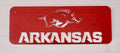 Arkansas Razorbacks