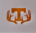 Big T Antlers