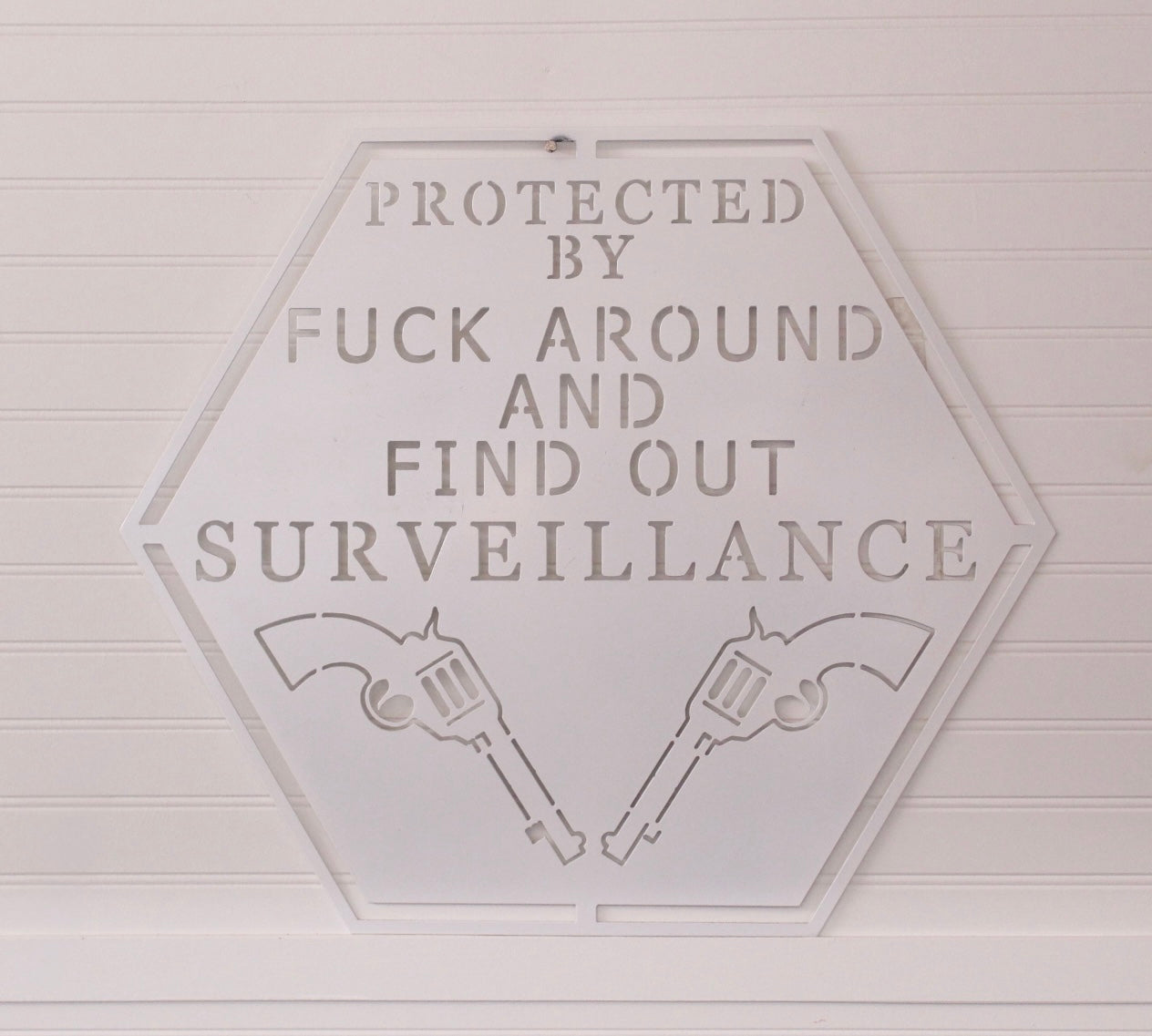 FAFO Surveillance Revolvers