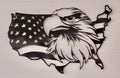 USA Eagle Flag
